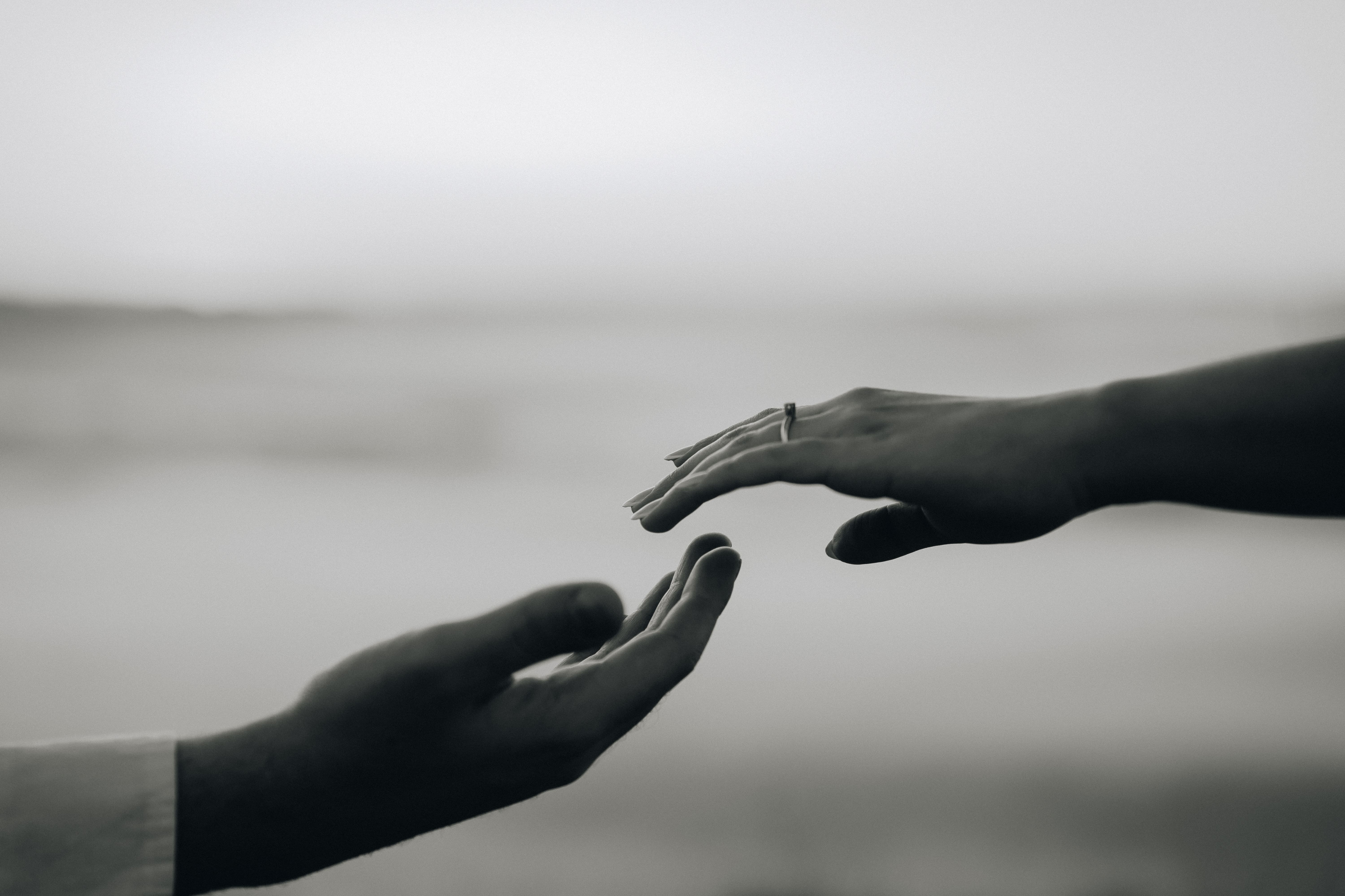Julia & Igor Banner 7